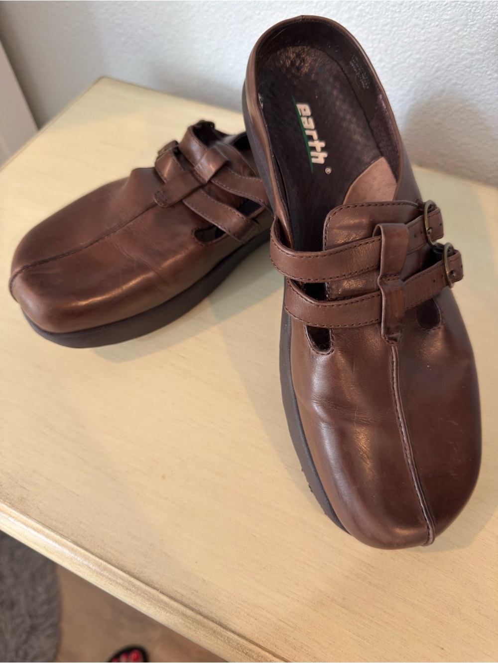 Earth Men’s Brown Leather Double-Strap Slip-On Clogs